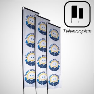 Telescopic